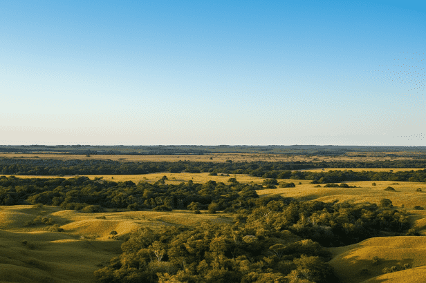Destino Llanos Orientales