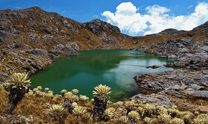 Páramo de Santurbán